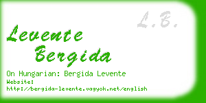 levente bergida business card